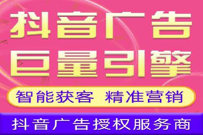SEM公司案例分析：搜索引擎优化策略与执行